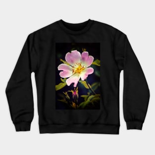 A Wild Rose Crewneck Sweatshirt